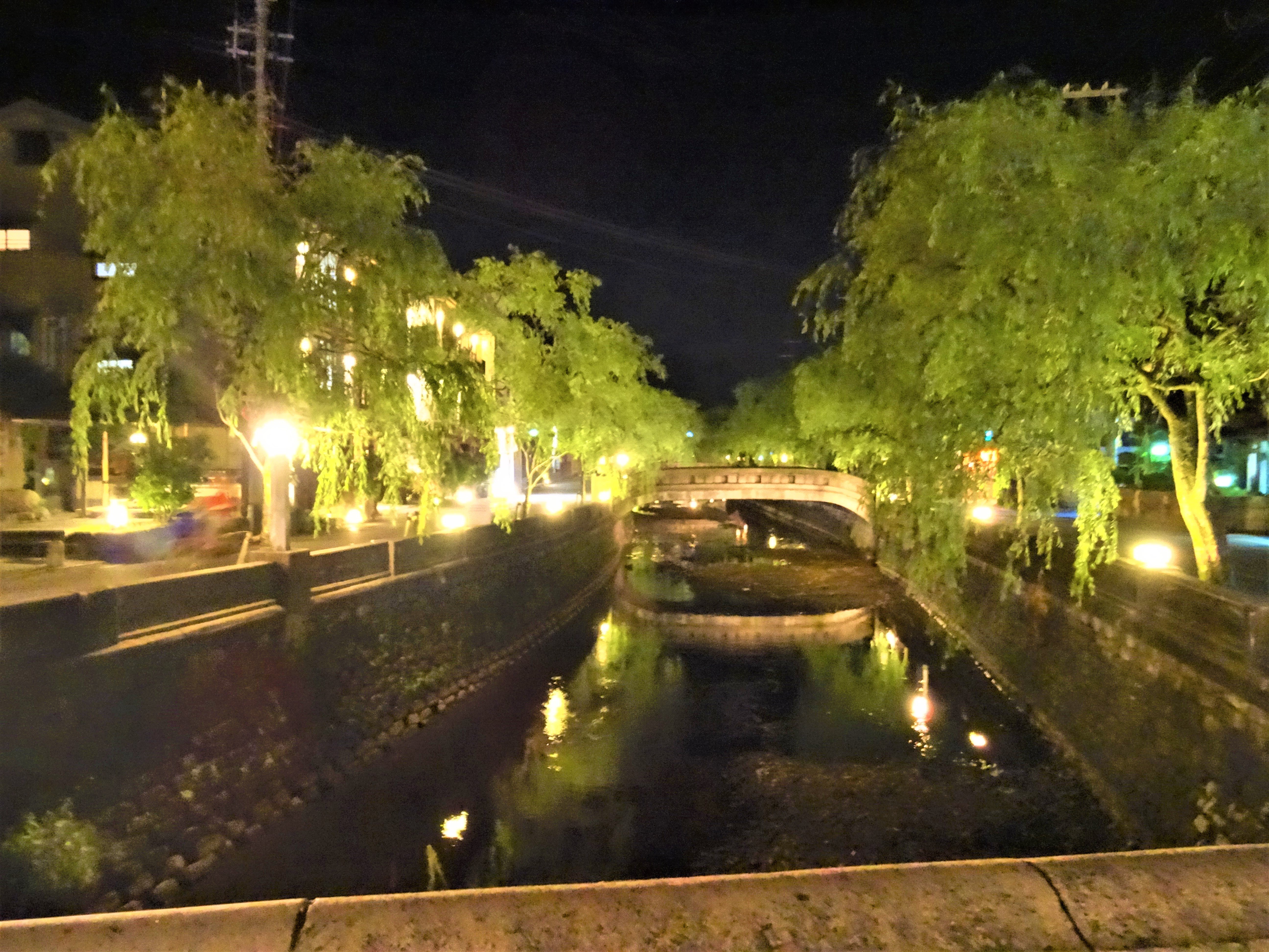 DSC01135.jpg