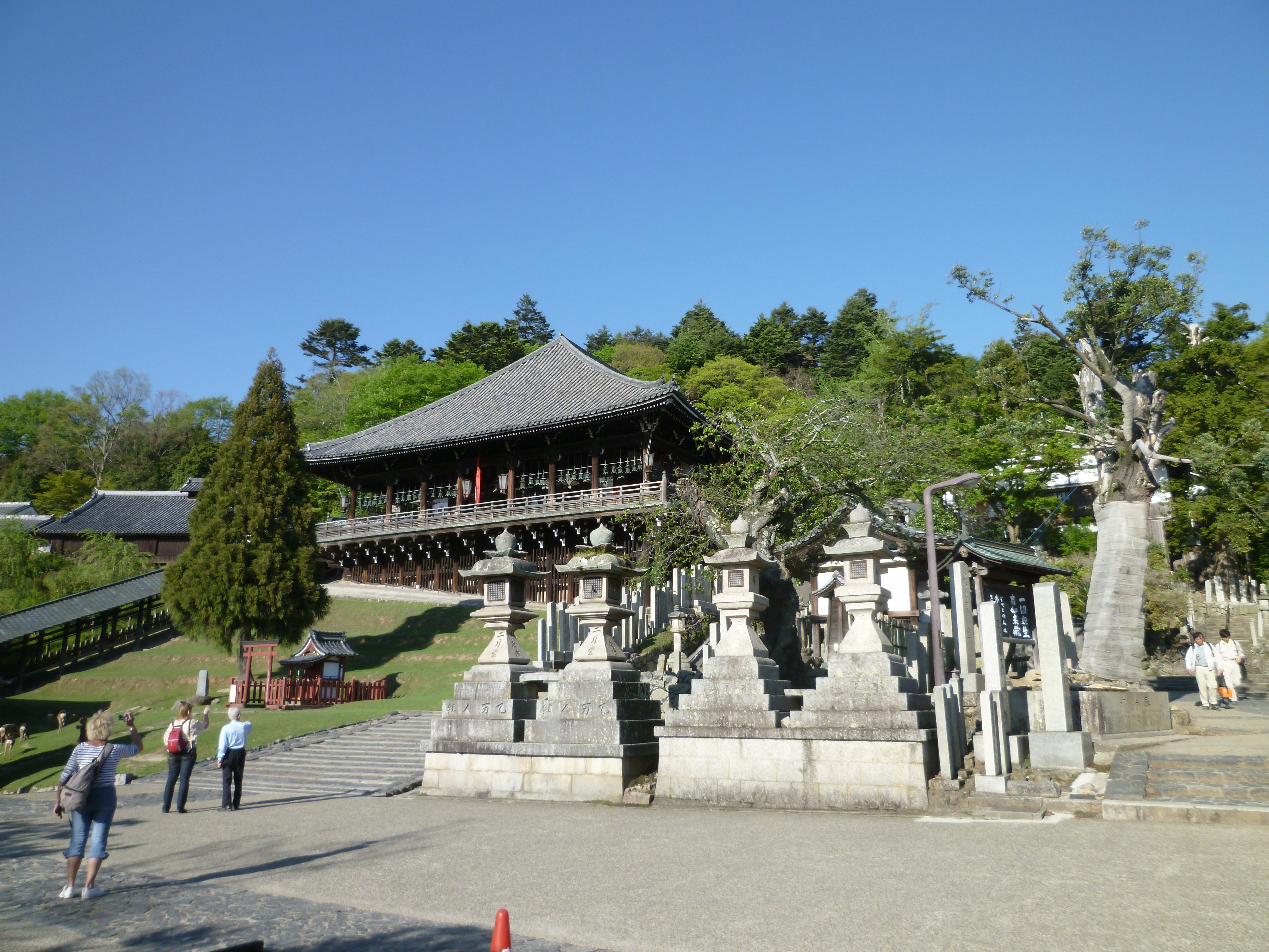 P1030729.JPG